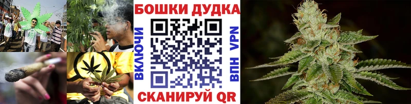 Шишки марихуана марихуана  Болохово 